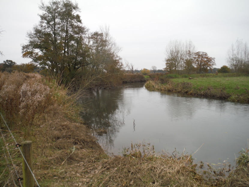 Autumn on the Lugg